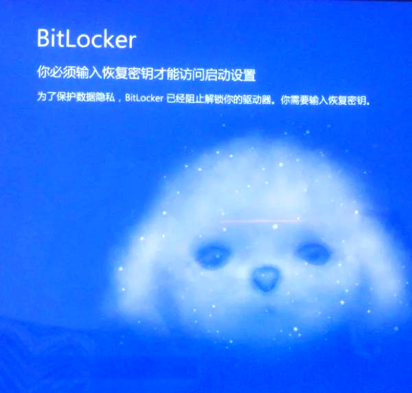bitget的官方网址(bitznet官网入口网页版)